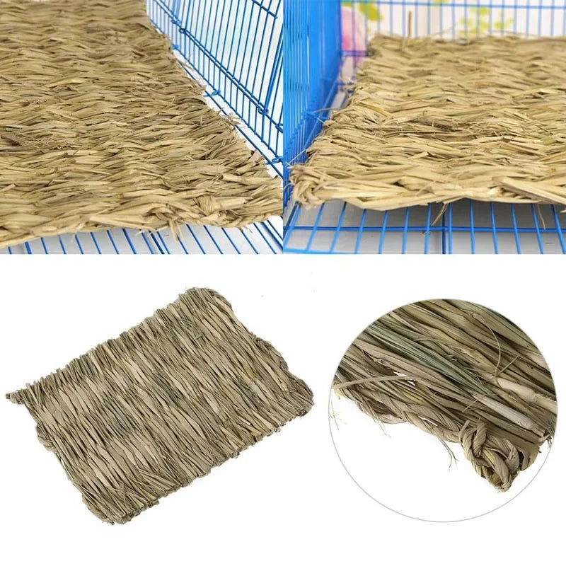 Rabbit, Hamster & Guinea Pig Grass Chew Cage