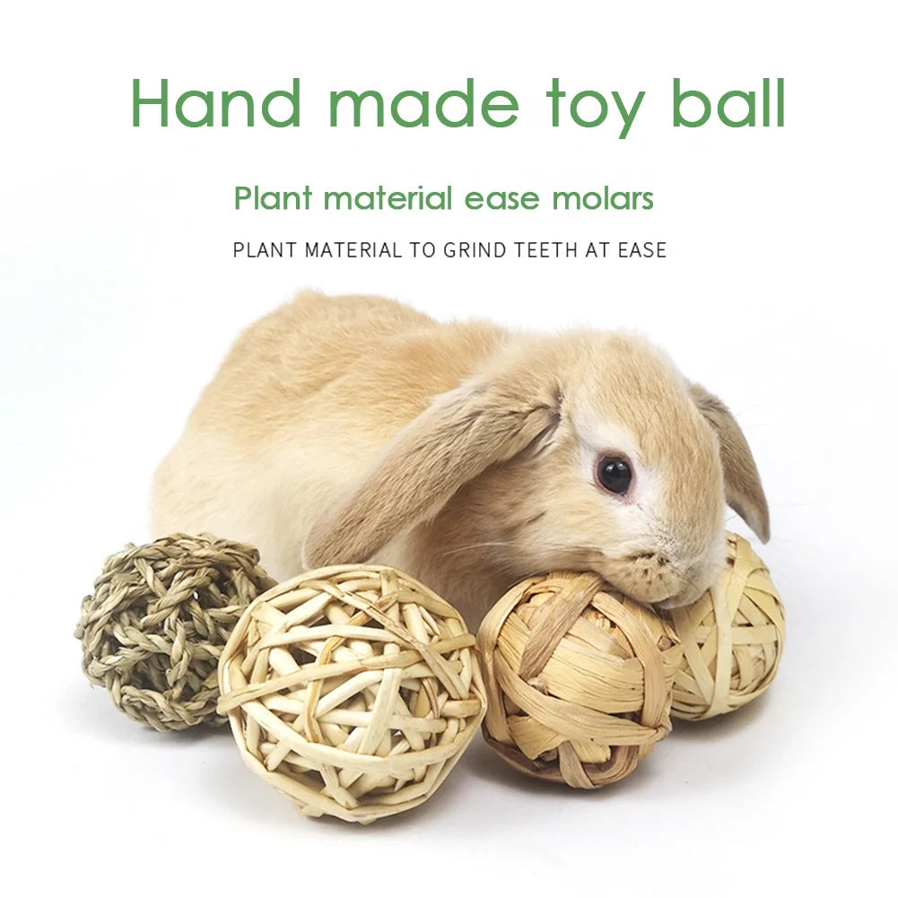 5 PCS Rabbit Ball Toys Bunny Treats Toys