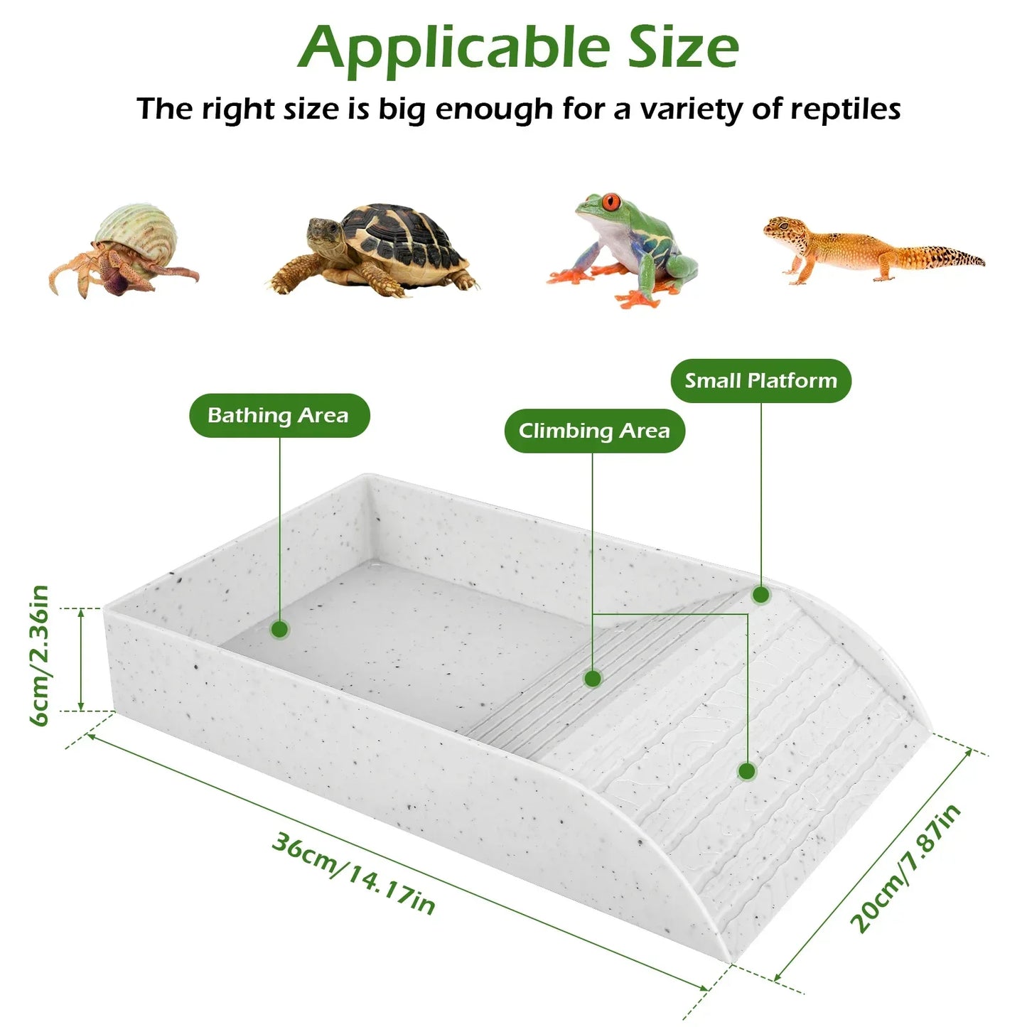 Reptile Platform for Aquarium Tank